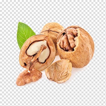 English walnut Nalewka Fruit, Walnut with leaves transparent background PNG clipart