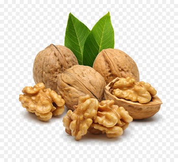 English walnut Nucule Nutrient Food - Nuts Walnut 