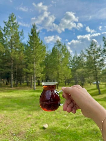 Enjoying Tea in Nature
