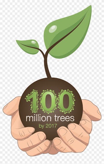 Eno Brasil 100 Milhões De Árvores Plantadas Até - Eno Tree Planting Day