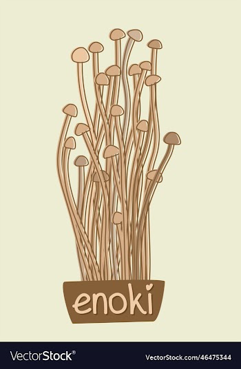 enoki