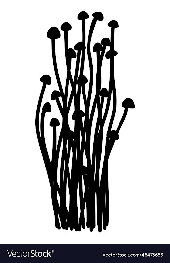 enoki2