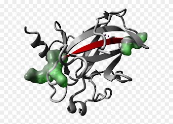 Enriched At The Flanks Of Aggregating Protein Sequences - Illustration