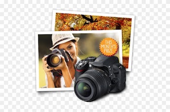 Enter To Win A Digital Camera And Get A Coupon For - 375 Astuces De Photo Numérique [book]