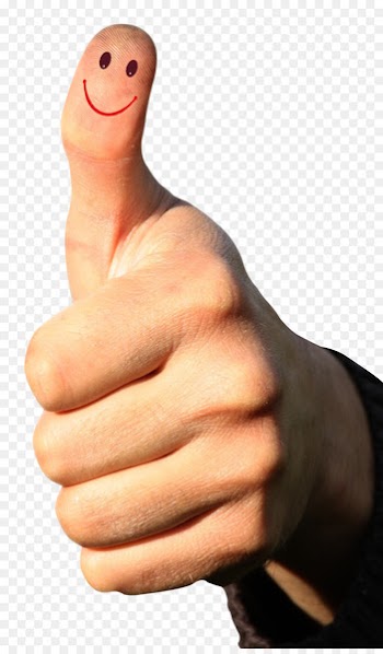 Entrepreneurship Business development Digital marketing Business plan - Thumbs Up 