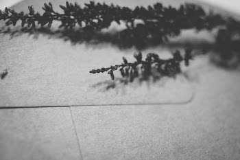 Envelope with dried flowers closeup