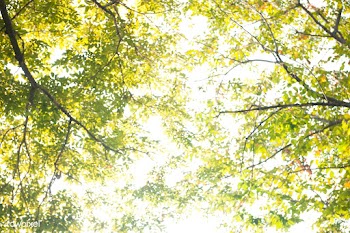 Environment design background | Free stock photo - 93084