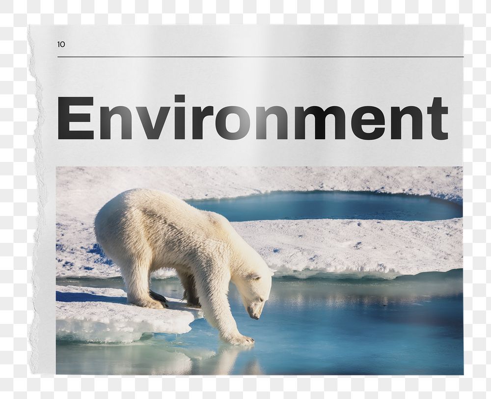 Environment png newspaper sticker, polar | Free PNG - rawpixel