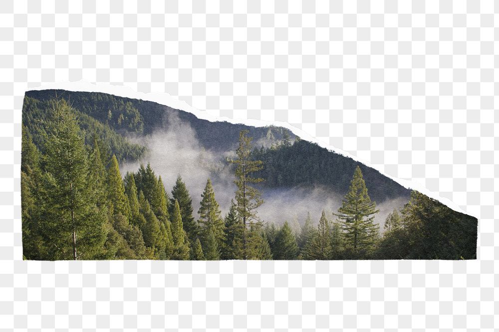 Environment png ripped paper sticker, | Free PNG - rawpixel