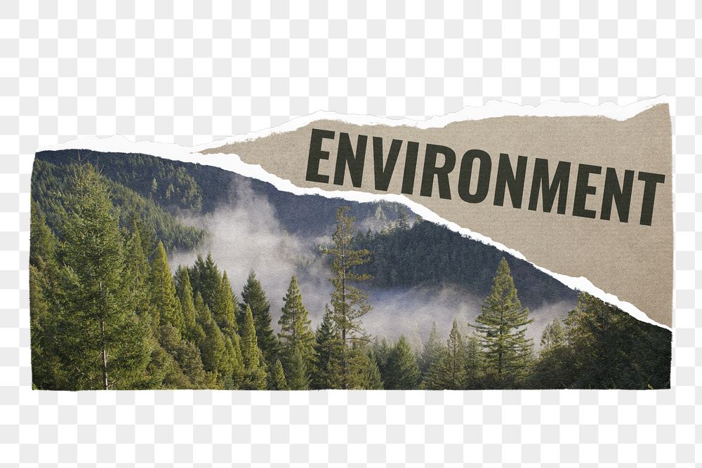 Environment png ripped paper sticker, | Free PNG - rawpixel