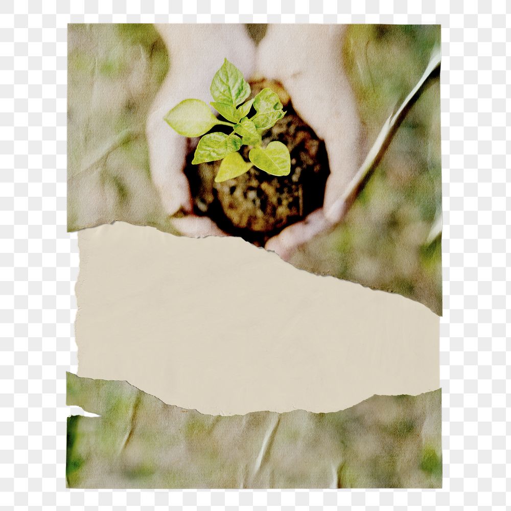 Environment png ripped poster, hand | Free PNG - rawpixel