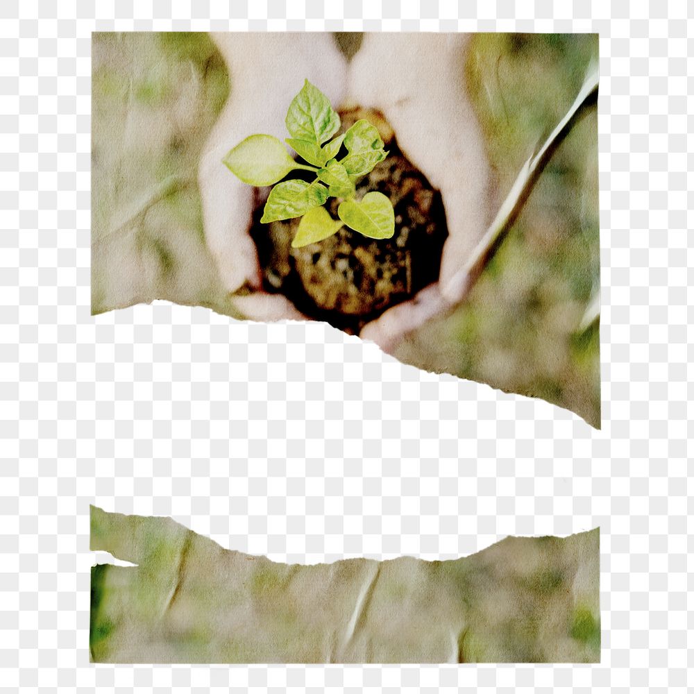 Environment png ripped poster, hand | Free PNG - rawpixel