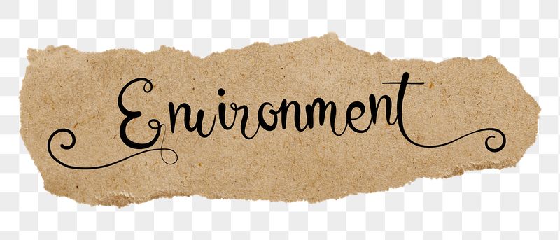 Environment png word, black calligraphy | Free PNG - rawpixel