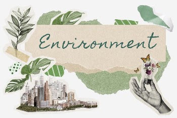 Environment word typography, green aesthetic | Free Photo - rawpixel