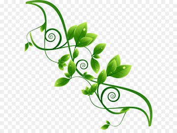 Environmental protection Green - Beautifully green theme label vector material 