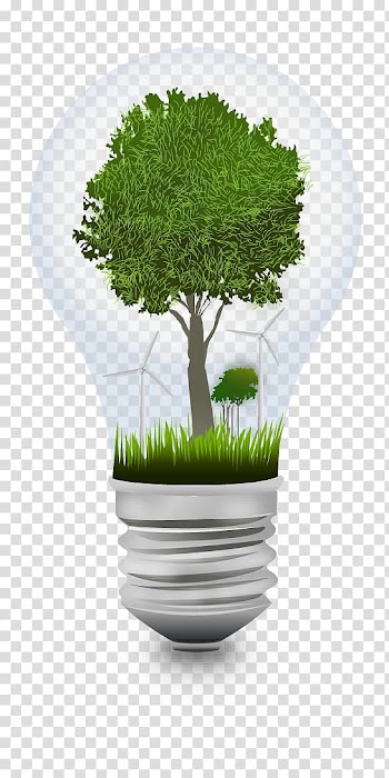 Environmental protection Incandescent light bulb Energy conservation, Green light bulb idea transparent background PNG clipart