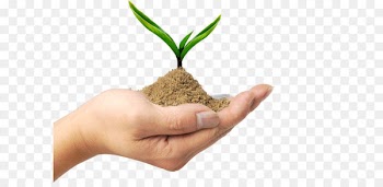 Environmental protection Sustainable living Project - Arbor Day Creative 