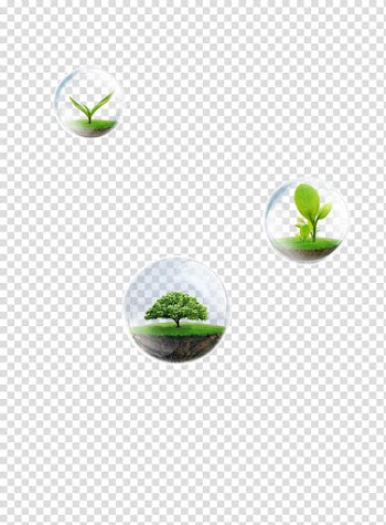 Environmental protection, Thanksgiving saplings transparent background PNG clipart