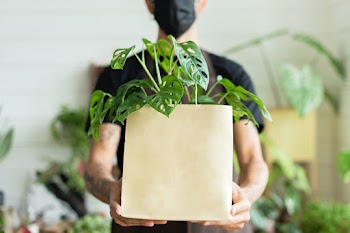 Environmentally friendly bag for plant shop  | Free stock photo | High Resolution image