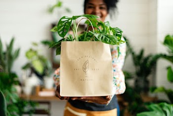 Environmentally friendly bag for plant shop  | Free stock photo | High Resolution image