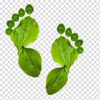 Environmentally friendly Ecological footprint Ecology, Leaves Footprints transparent background PNG clipart