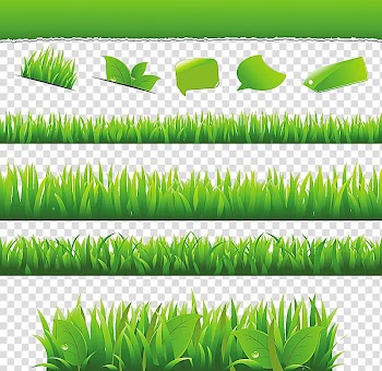 Environmentally friendly , leaf transparent background PNG clipart