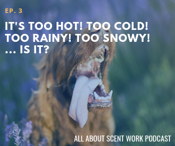Ep. 3: It's Too Hot! Too Cold! Too Rainy! Too Snowy! ... Is It ...