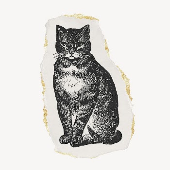 Ephemera Cat drawing, ripped paper, | Free PSD Illustration - rawpixel