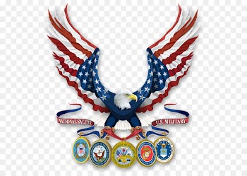Epilepsy Foundation of Ky In Military Vietnam veteran United States Armed Forces - Military Salute 