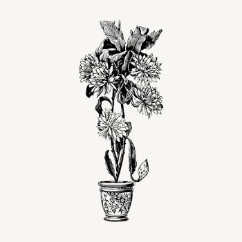 Epiphyllum flower pot drawing, vintage | Free Vector - rawpixel