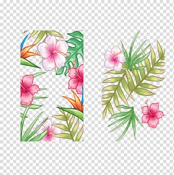 Epiphyllum Petal Family Annual plant Plant stem, Romantic pink flowers background transparent background PNG clipart