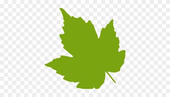 Epsom Mums - Grape Leaf Clip Art