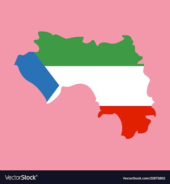 Equatorial guinea map and flag in white background vector image