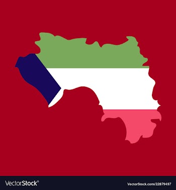 Equatorial guinea map and flag in white background vector image