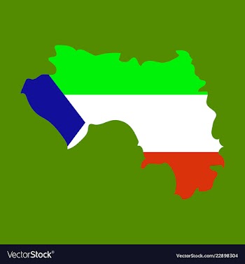 Equatorial guinea map and flag in white background vector image
