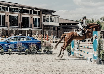 Equestrian Riding a Horse