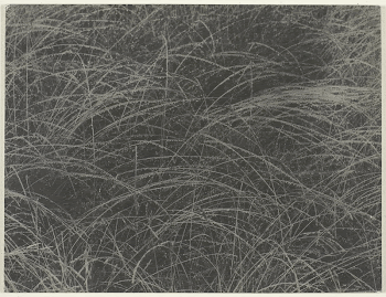 Equivalent (1927) by Alfred Stieglitz. | Free Photo - rawpixel