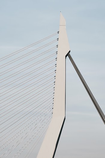 Erasmus Bridge, Rotterdam.