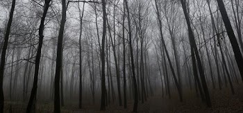 erdÅ‘1pan.jpg