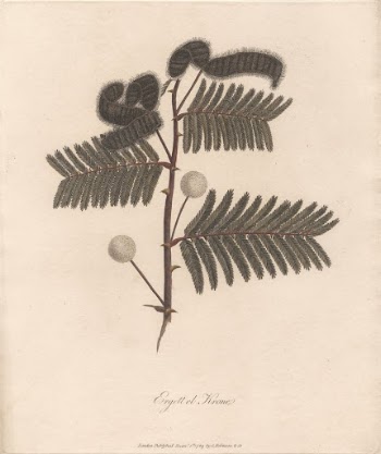 Ergett el Krome 1789 by James | Free Photo - rawpixel