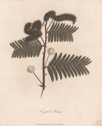 Ergett el Krome 1789 by James | Free Photo - rawpixel