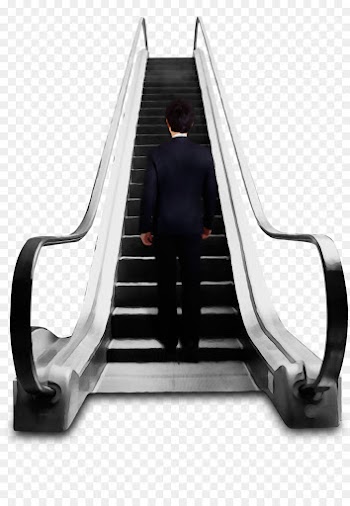 escalator playground slide