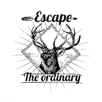 Escape the ordinary illustration | Free stock vector - 563003