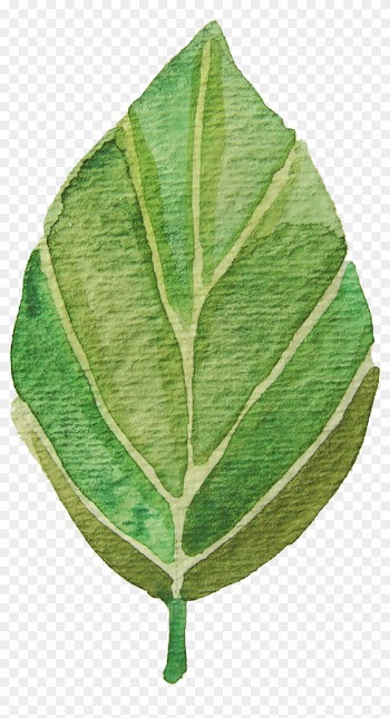 Eshan - Leaf Watercolor Clip Art Free