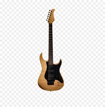 ESP LTD EC-1000 Electric guitar ESP Guitars Neck - Retro guitar 