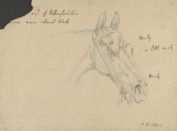 "...esq. of Nottinghamshire (B)rown Mare | Free Photo - rawpixel