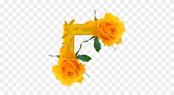 Esquineros Vectores De Flores - Garden Roses