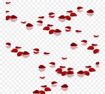 Essential oil Rose Petal - Rose petals everywhere 