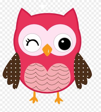 Esta Corujinha De Pelúcia - Pink Owl Baby Blanket