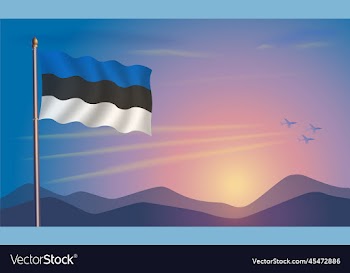 estonia flag in the morning sun